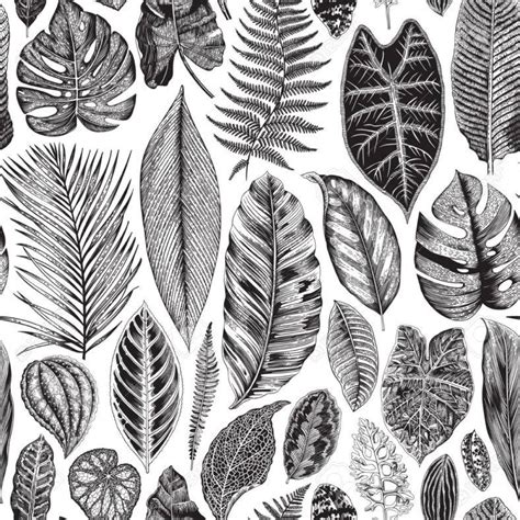 Printable Black And White Botanical Prints